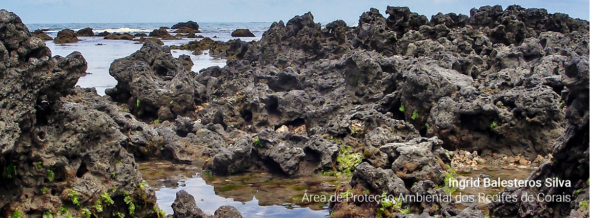 Área de Proteção Ambiental dos Recifes de Corais